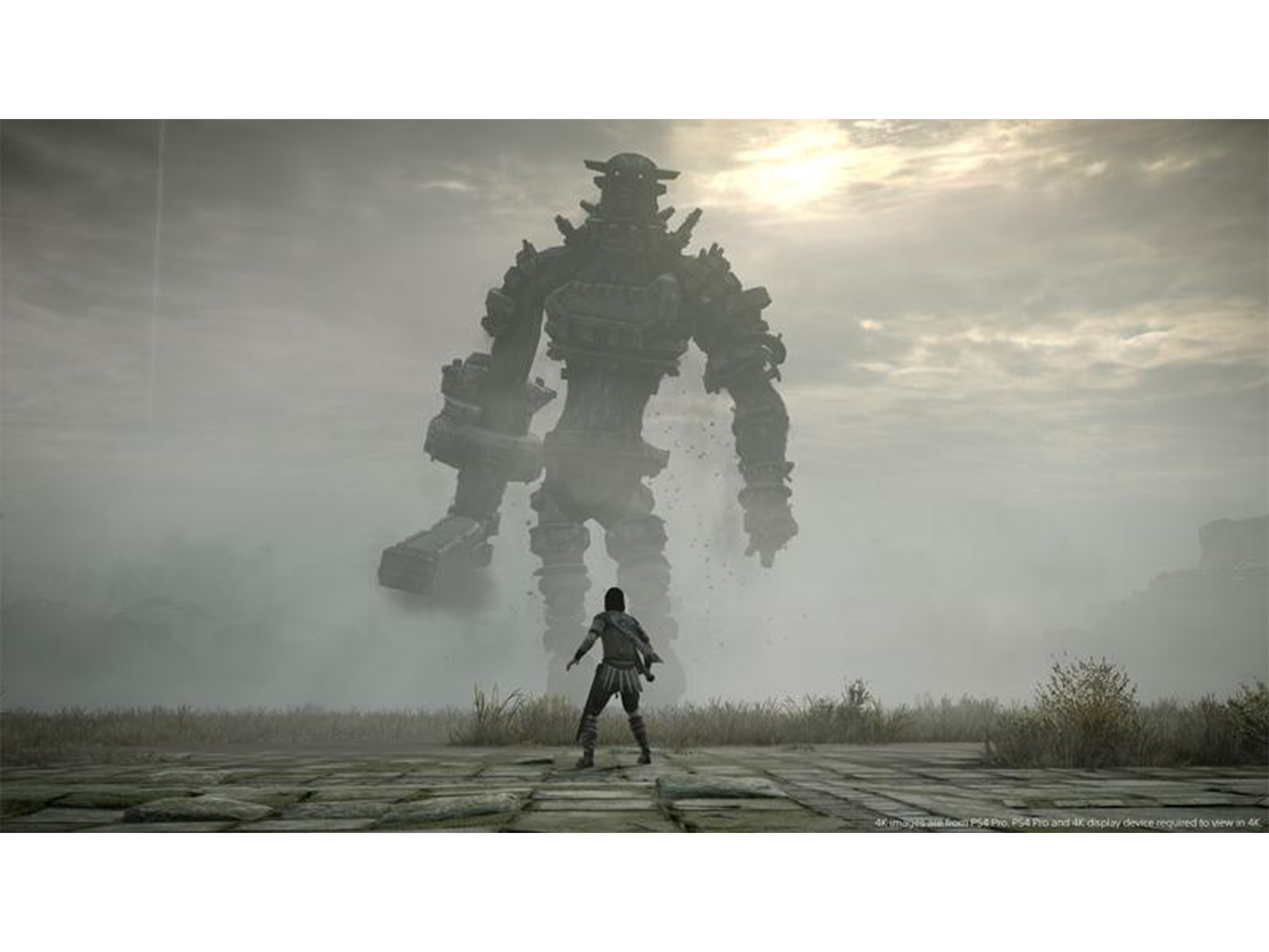 shadow of the colossus indybest.png