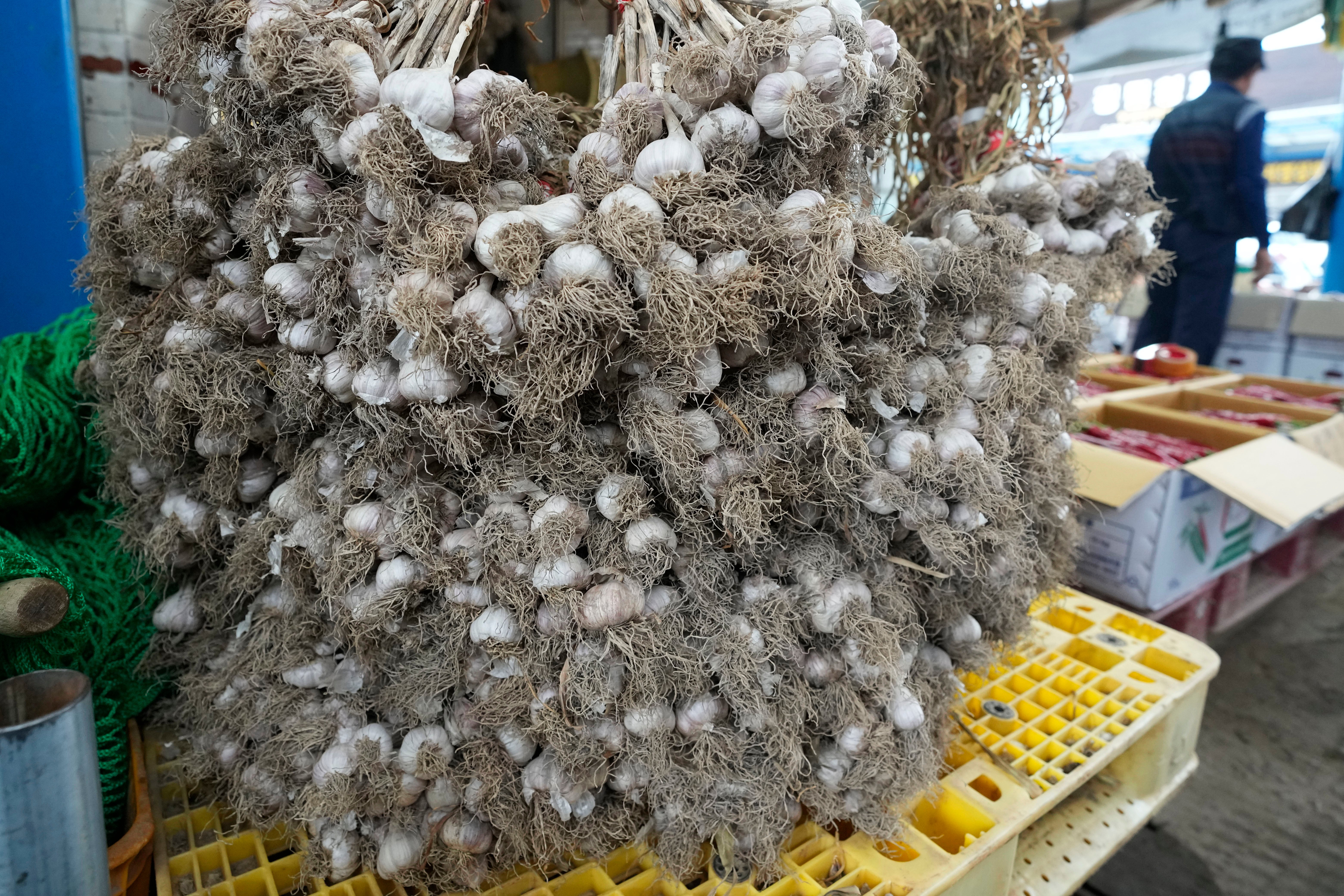 South Korea Garlic Video