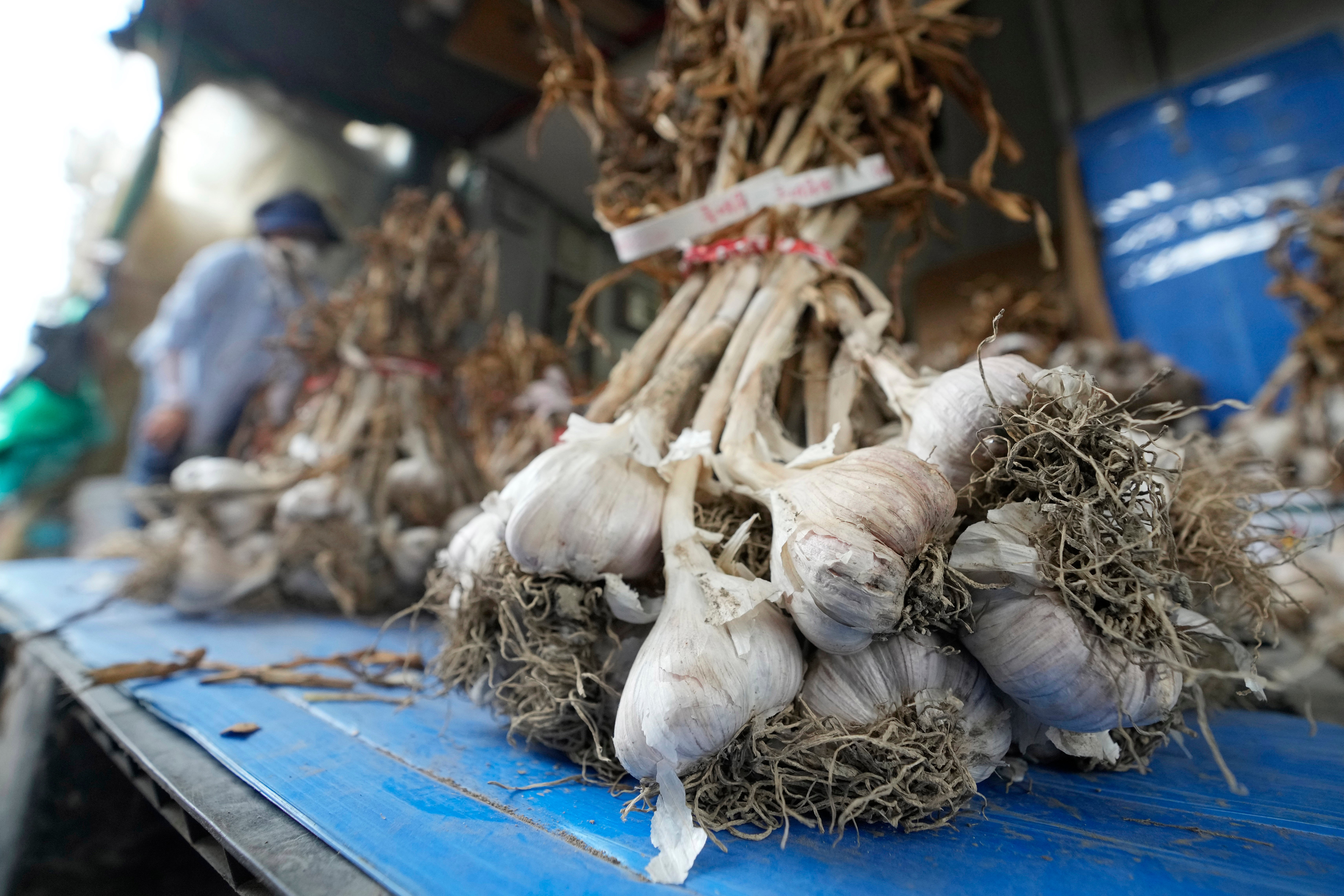 South Korea Garlic Video