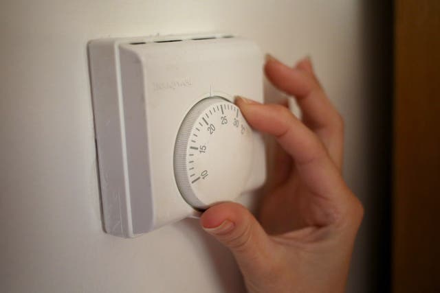 <p>The government are reportedly ‘considering the full remit of its policy toolbox’ to reduce household demand for energy</p>
