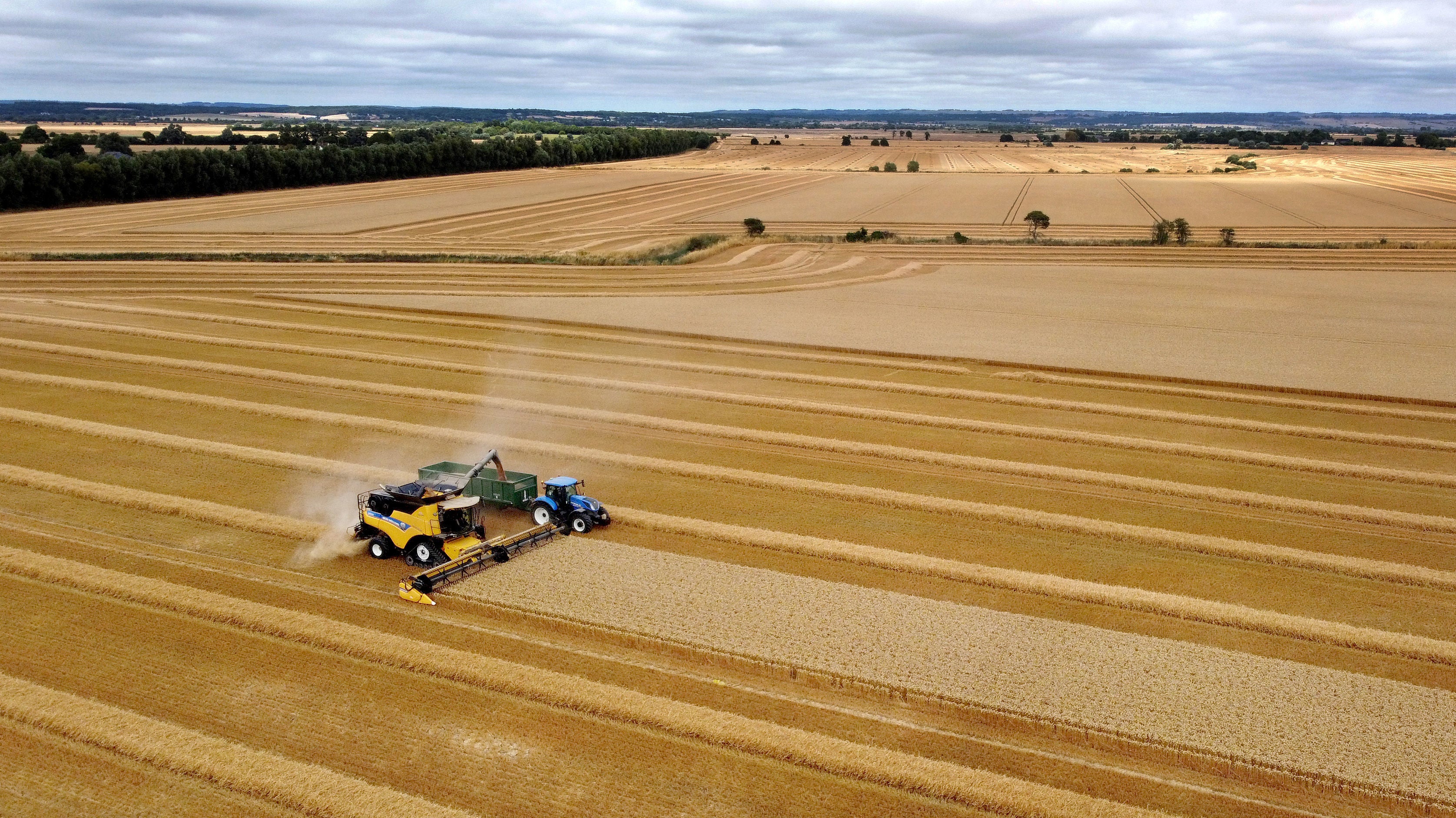 A combine harvester at work in a field near Brenzett in Kent on 2 August