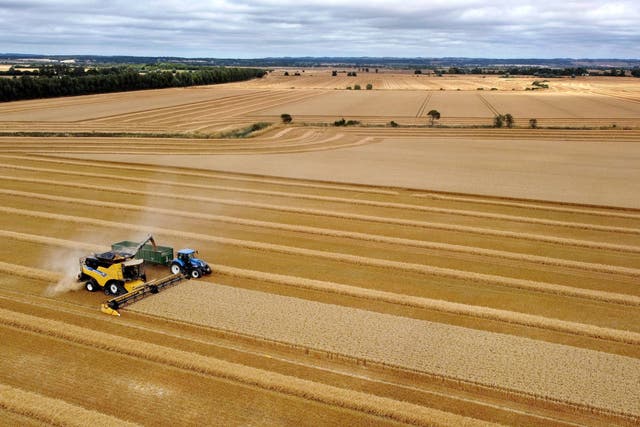 <p>A combine harvester at work in a field near Brenzett in Kent on 2 August</p>