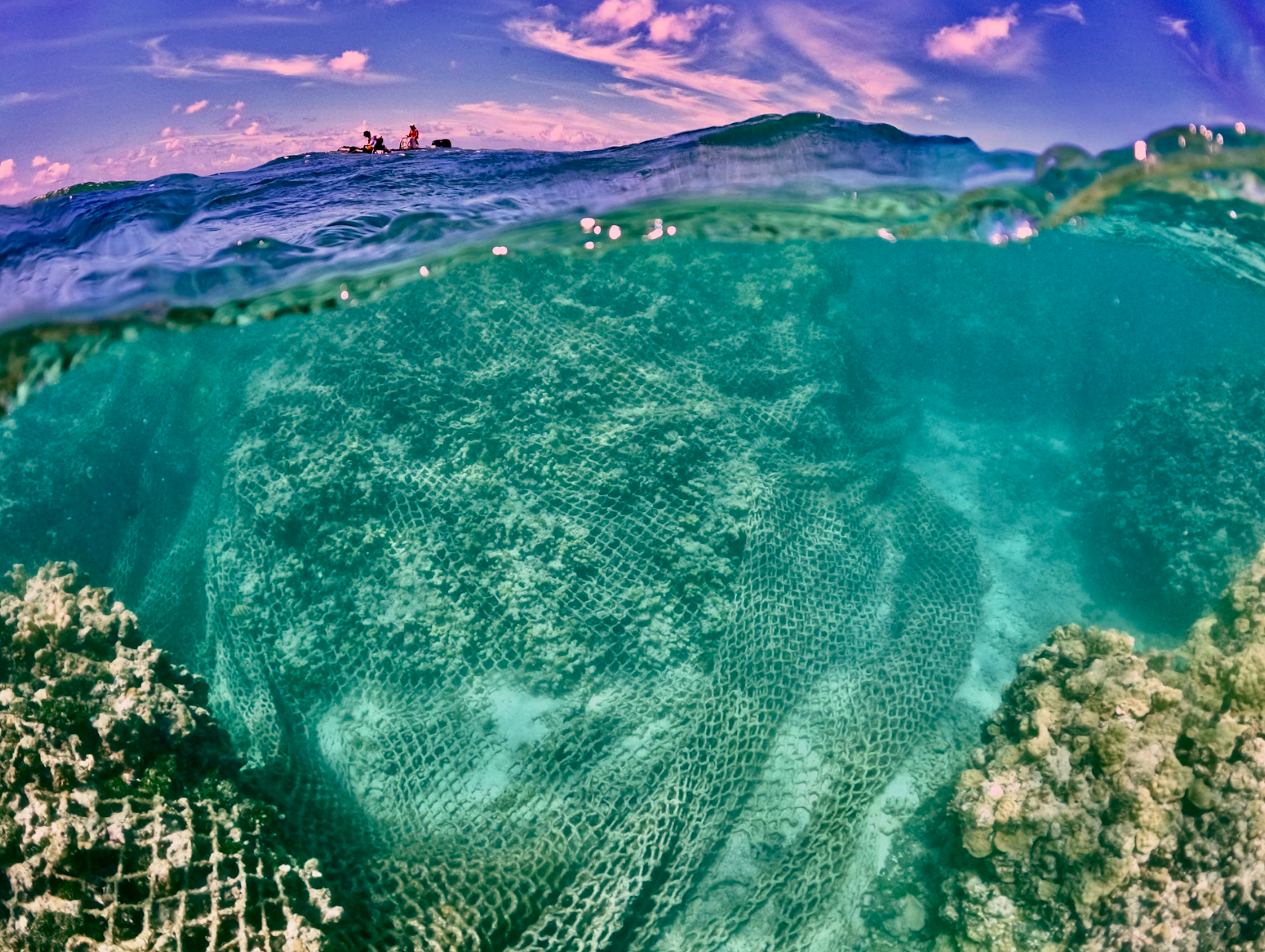 Large trawl net found at Kamokuokamohoaliʻi