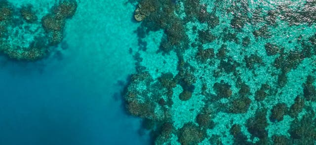 <p>Warming oceans have had a devastating effect on the Great Barrier Reef</p>