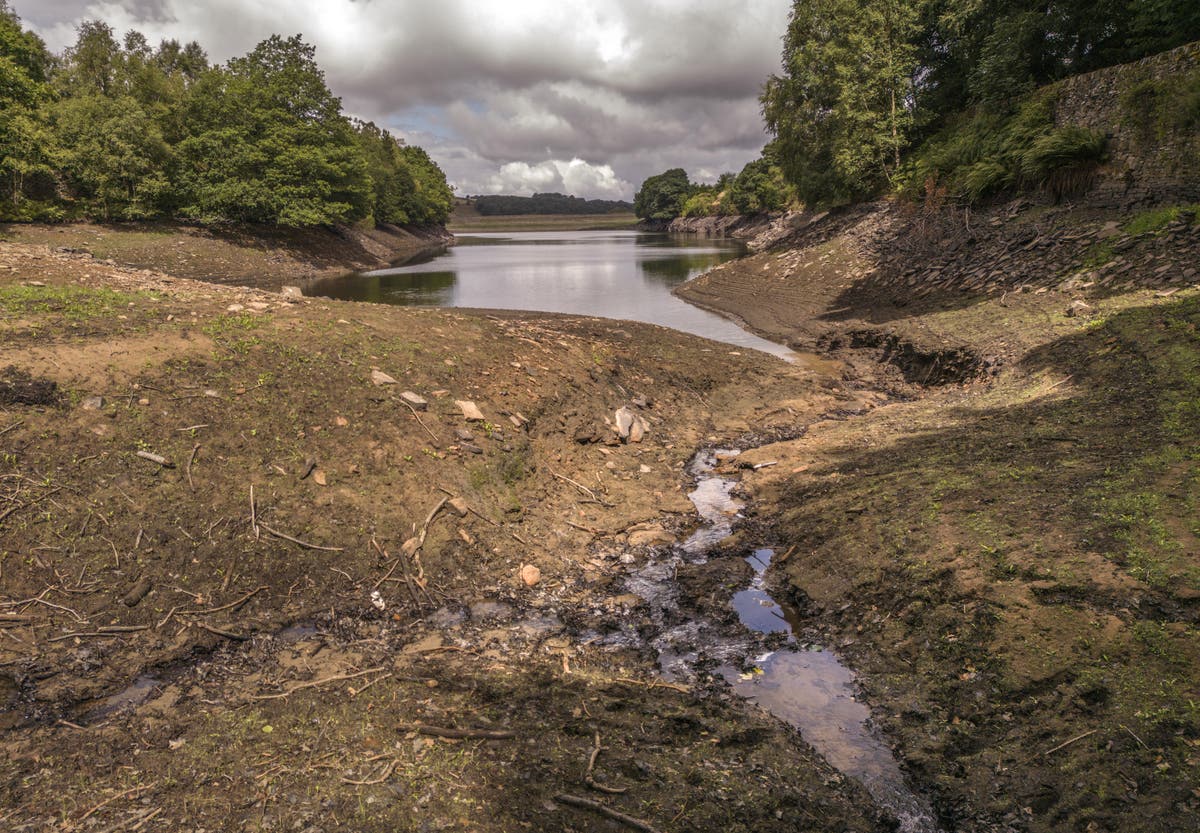 Wetlands ‘must be restored on enormous scale’ to cope with more droughts