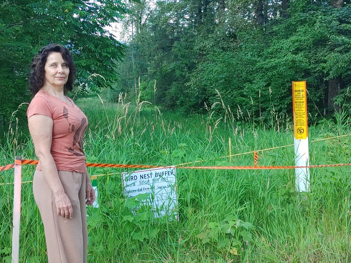 One woman’s fight’s to save peaceful Canadian paradise from destructive pipeline expansion: ‘We need those places right now’