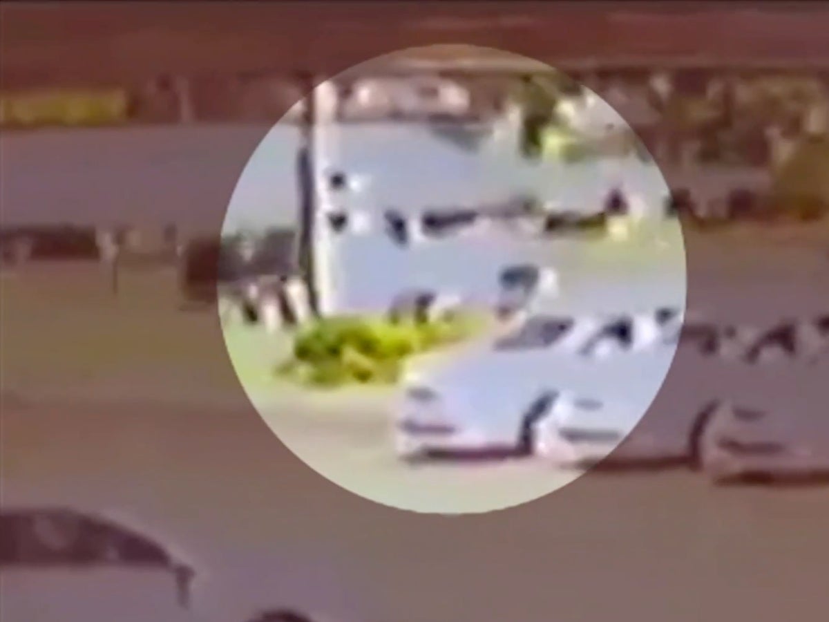 Yarı kamyonun içinde kanlı bir kadının çığlık attığını gören tanık raporlarının ardından arama başlatıldı