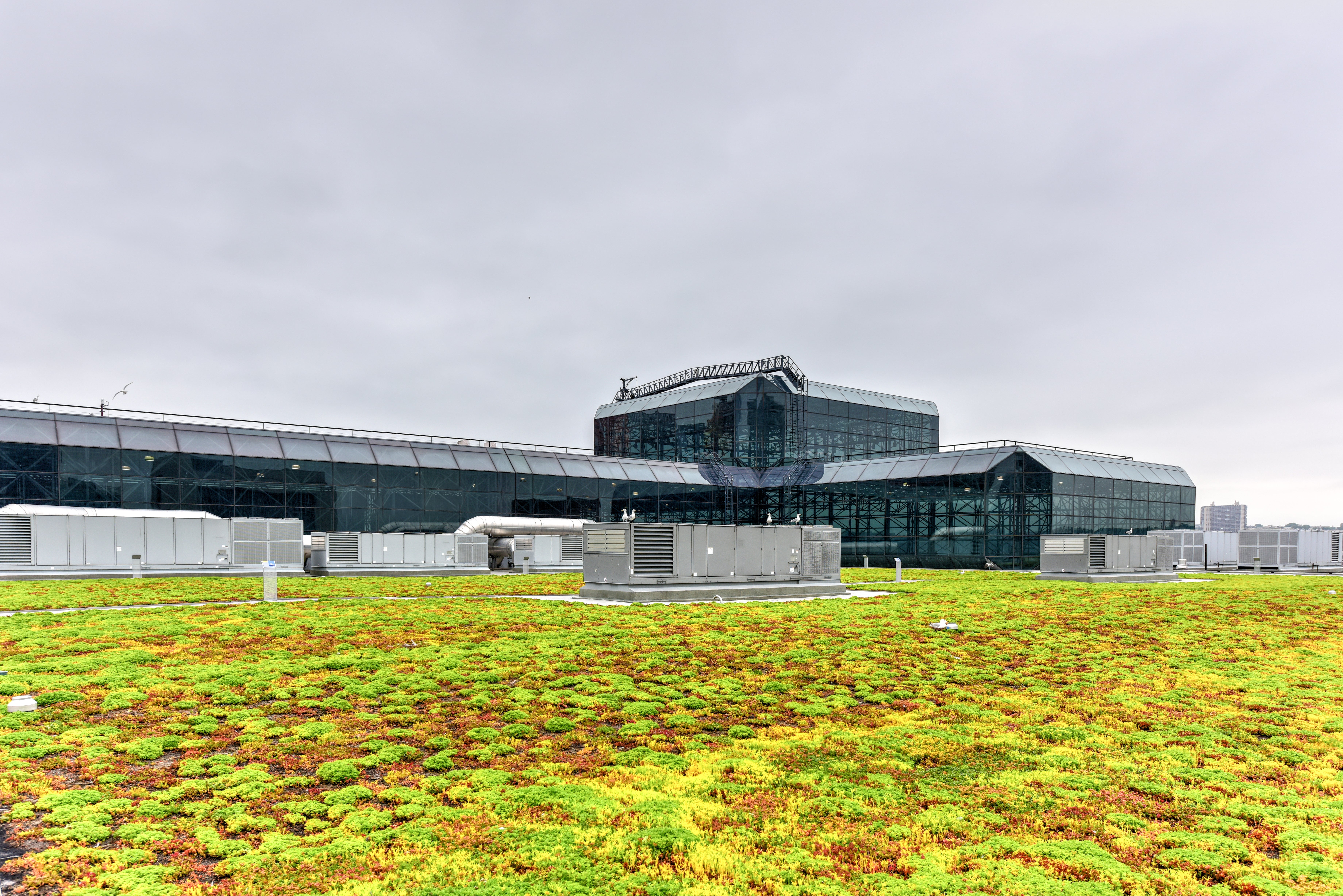 The green roof on New York’s Javits Center