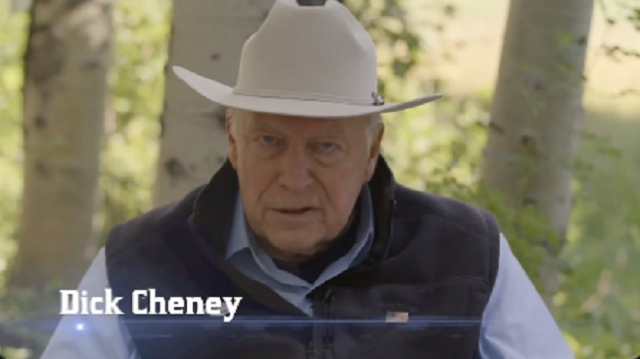 <p>Dick Cheney appears in a campaign ad for his daughter, Congresswoman Liz Cheney</p>