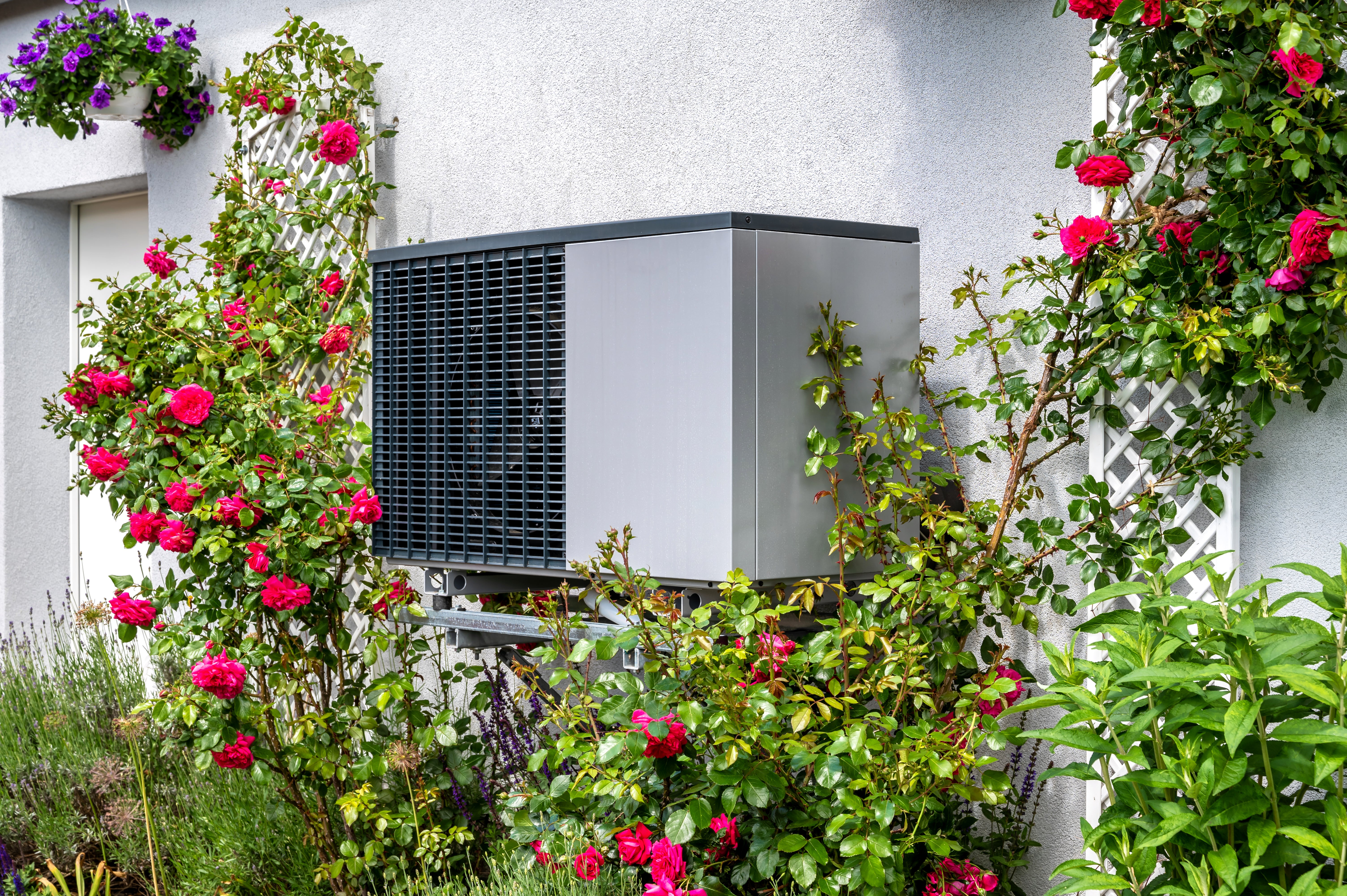 Heat pumps can both warm and cool a building