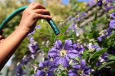Hosepipe ban comes into force in parts of England amid hot and dry conditions