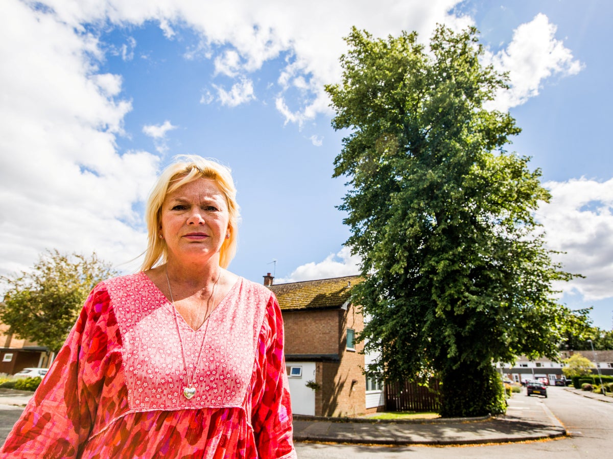 Council stops woman pruning 22m tree in her own garden