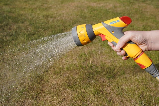 <p>The first hosepipe ban of the year has come into force in Hampshire and the Isle of Wight</p>