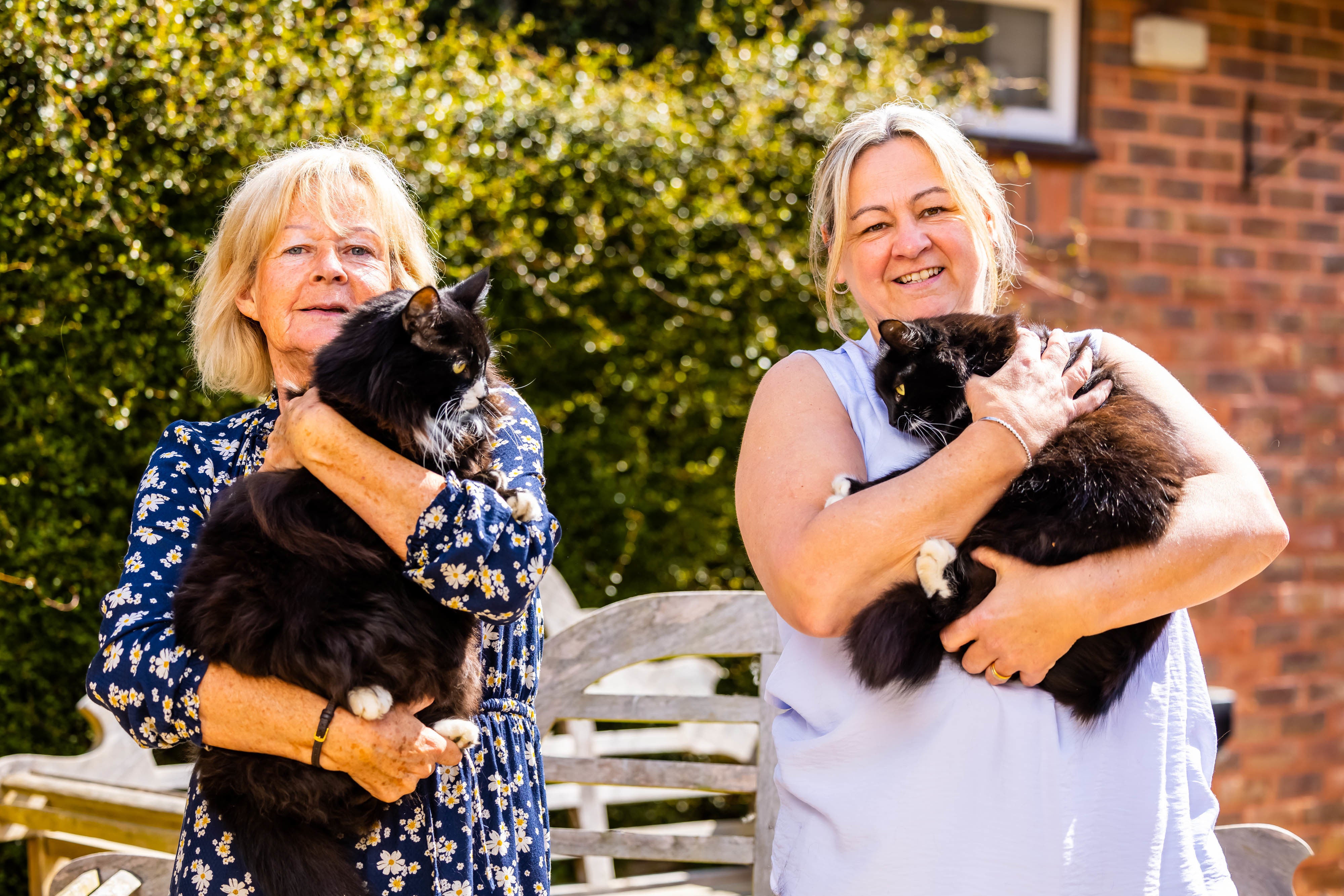 Jasper and Willow were also crowned the winners in the 'Outstanding Rescue Cat' category of this year's Cats Protection National Cat Awards