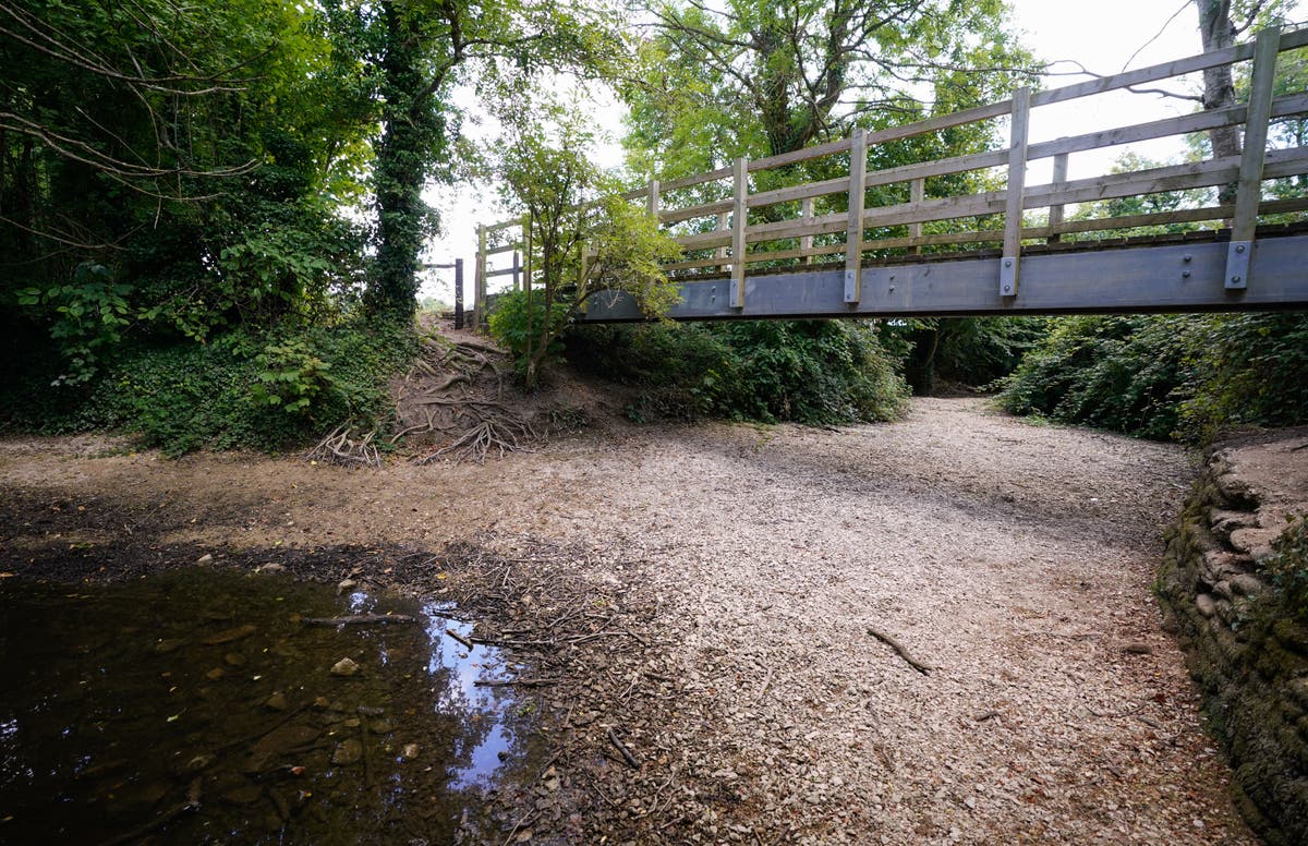 Neighbours asked to grass on hosepipe rule-breakers