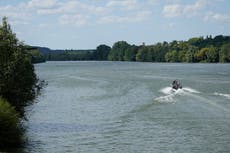 In France, a battle to save weakened whale lost in the Seine