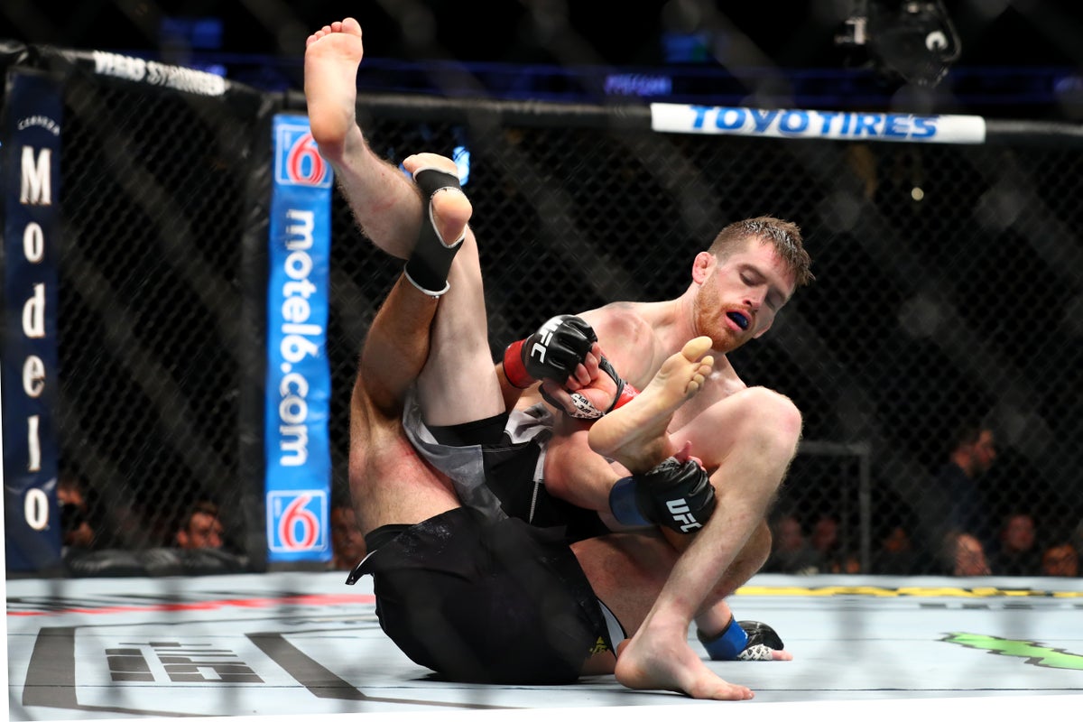 UFC Fight Night Reside Stream How To Observe Cory Sandhagen Vs Song UFC Fight Night Reside Stream How To Observe Cory Sandhagen Vs Song
