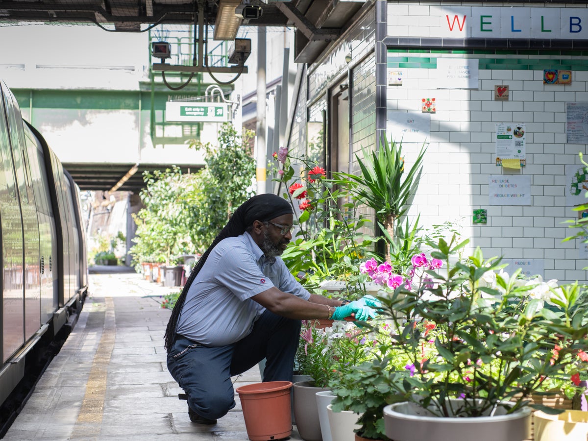 London’s disused Tube platforms are being transformed into gardens