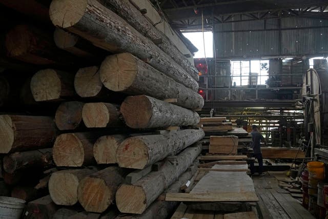 Hong Kong Last Sawmill