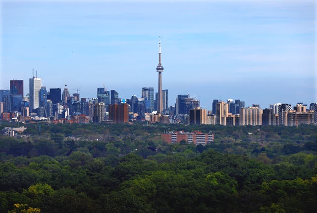 <p>The Toronto skyline </p>