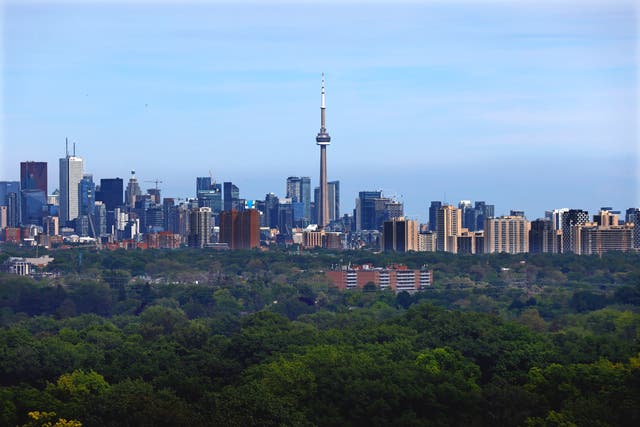 <p>The Toronto skyline </p>