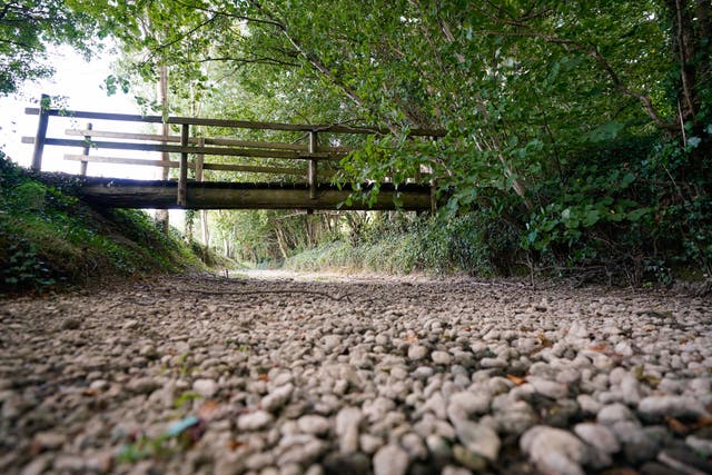 A view of a dried up river bed of the River Thames near Somerford Keynes in Gloucestershire (Andrew Matthews/PA)