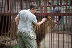 Ukrainian risks her life to rescue wild animals from war