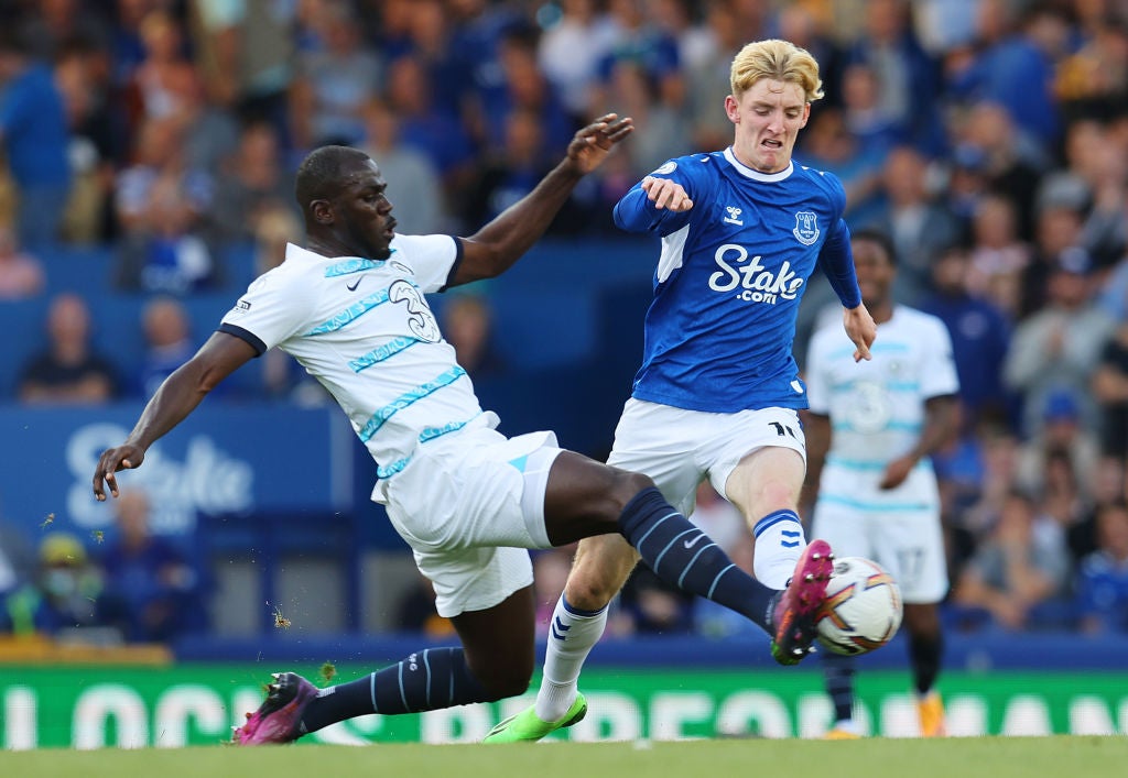 Koulibaly made an assured debut at Goodison Park