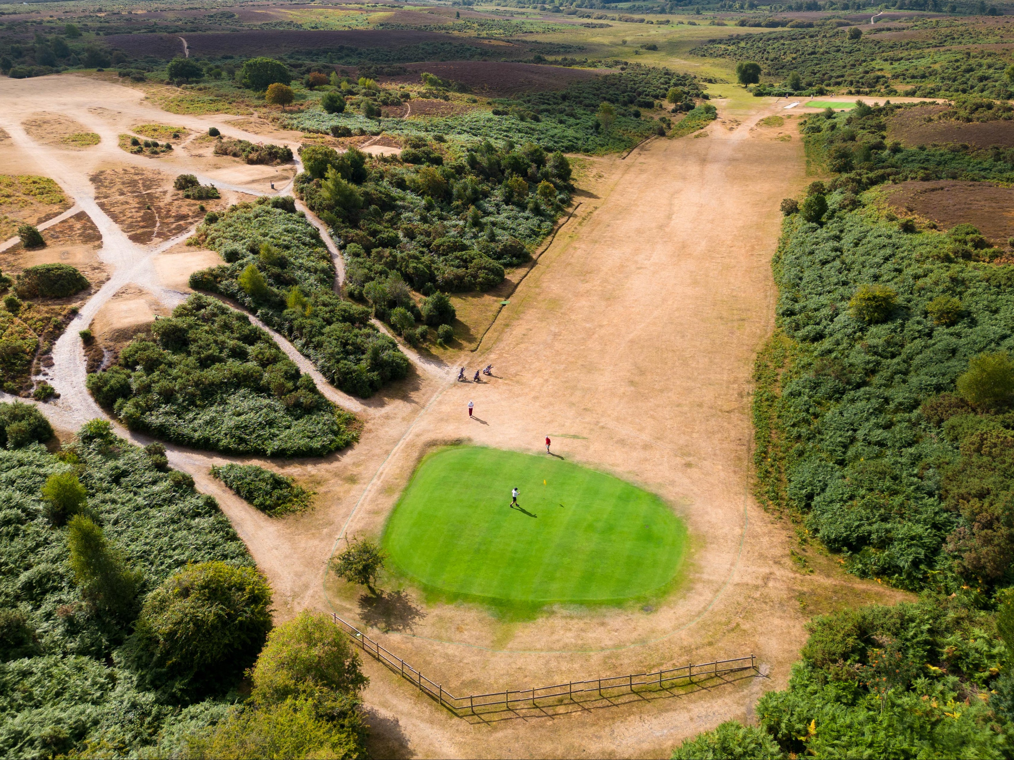 Aerial view of the parched grass at the Burley Golf Club in the New Forest this month