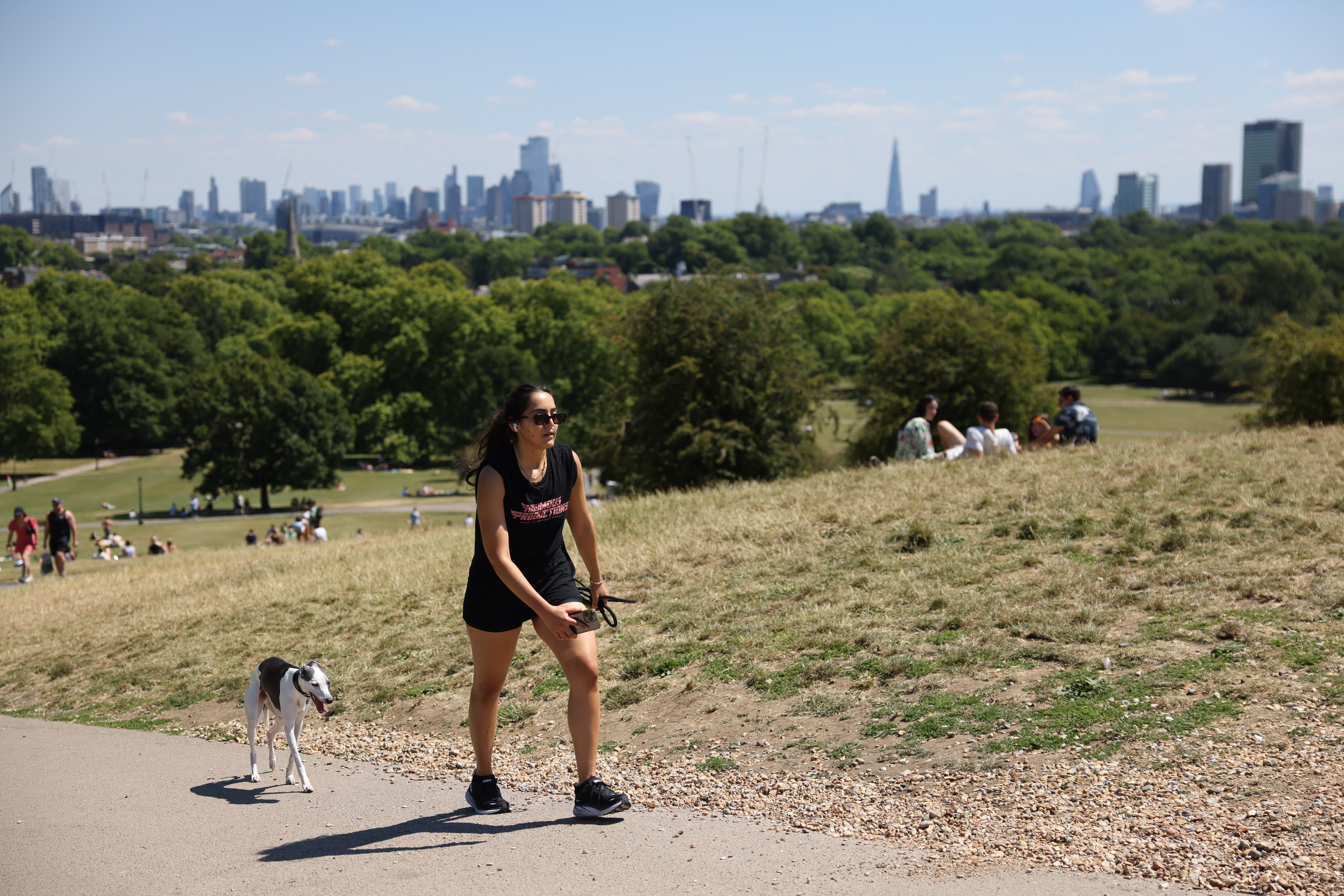 The dry grass in London’s Greenwich Park during the record-breaking hot summer