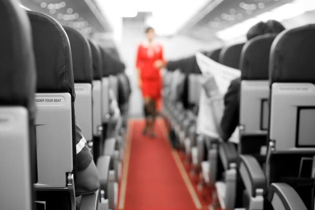 <p>A representative for the Association of Professional Flight Attendants has spoken up about ‘unsustainable’ conditions in the industry</p>