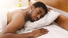 Why does heat make us sleepy? Fruit flies ‘programmed’ to take naps may hold the answer