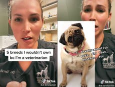 These are the five dog breeds a TikTok vet says she would never own