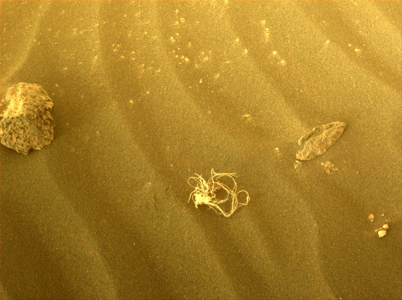 A strange tangle of material found by Nasa’s Perseverance Mars rover on 12 July 2022