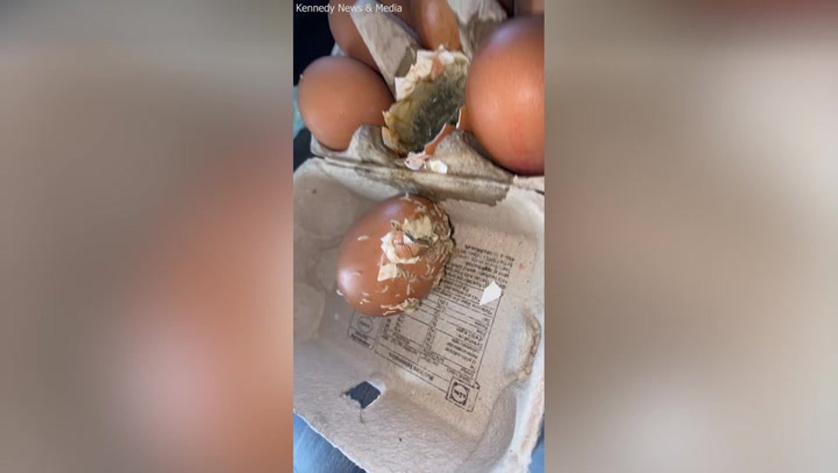 Maggot infestation discovered in Lidl eggs