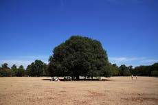 Heat health alert comes into effect in England as country braces for another heatwave