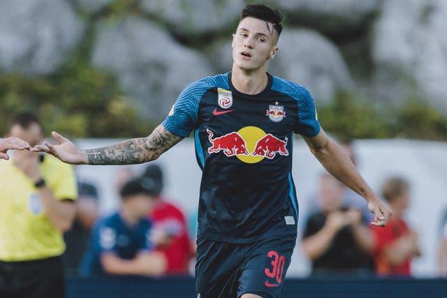 <p>The 19-year-old Slovenia international will stay with RB Salzburg this season before moving permanently next summer </p>