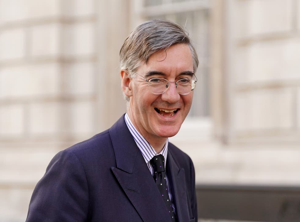 Jacob Rees-Mogg, Brexit opportunities and efficiency minister