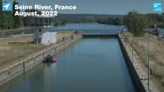 ‘Malnourished’ beluga whale stranded in France’s River Seine has ‘little hope’ of survival