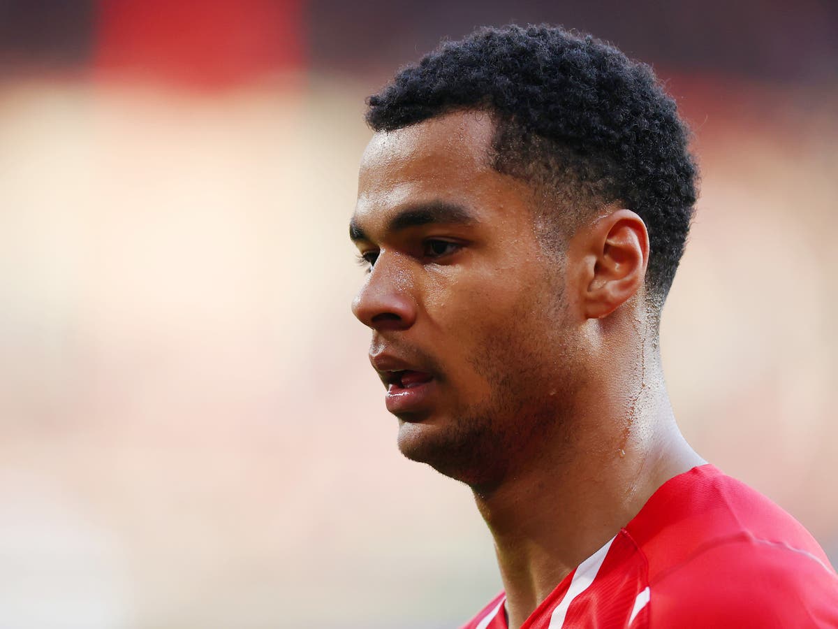 Cody Gakpo: Manchester United interested in PSV Eindhoven winger Cody Gakpo: Manchester United interested in PSV Eindhoven winger