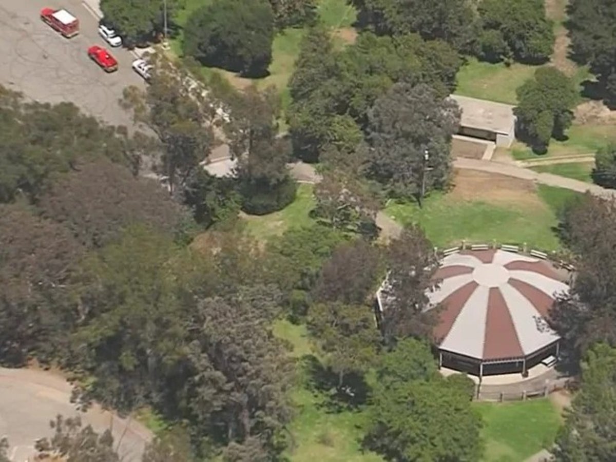Los Angeles'taki Griffith Park'ta ağaca asılı yanan ceset bulundu