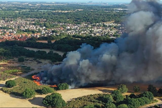 A major fire broke out on Rushmore Heath in Suffolk (Sky News/PA)