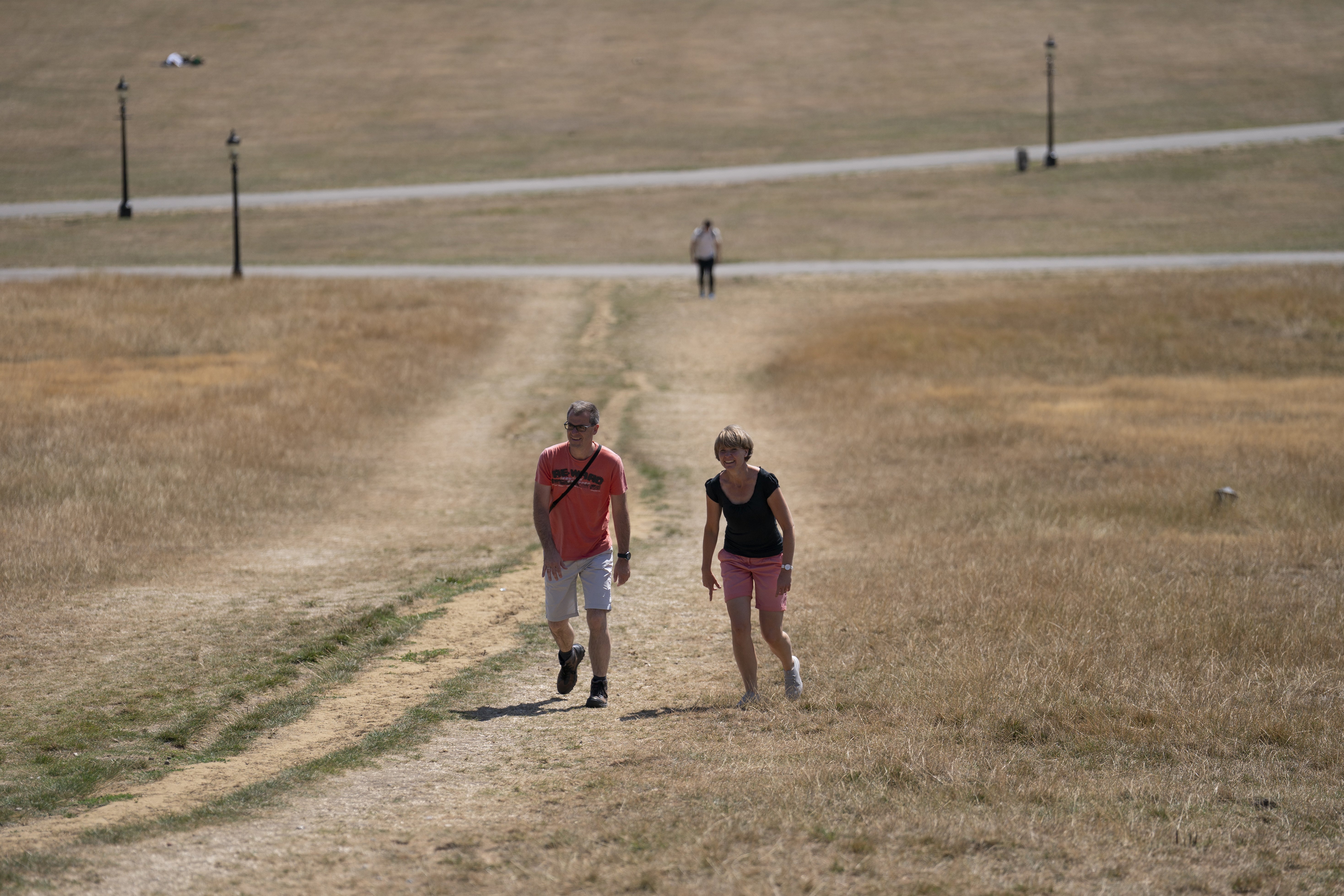 Primrose Hill in central London has turned brown in the dry weather