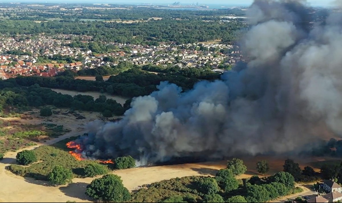 UK weather – live: England and Wales face ‘exceptional wildfire risk’ amid 36C heatwave