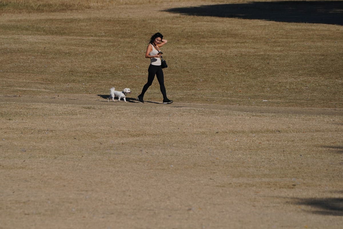 Ideal summer day is 22C, according to poll