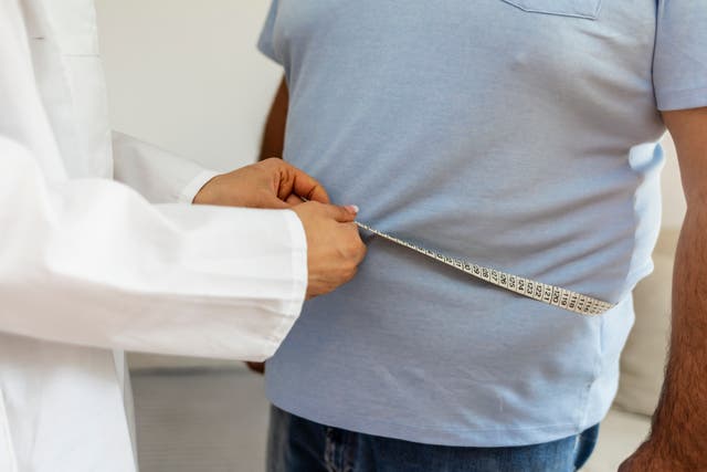 <p>Healthcare is a common area where obese people face stigma over their weight, scientists say</p>