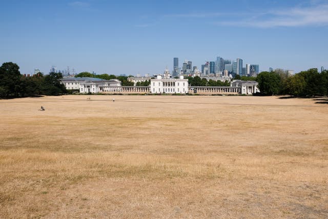 <p>UK drought - parched grass in Greenwich Park, London on Tuesday. </p>