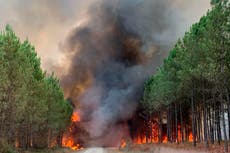 Wildfire in southwestern France: 6,000 people evacuated