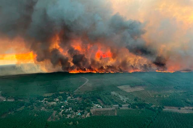 <p>France Wildfires</p>