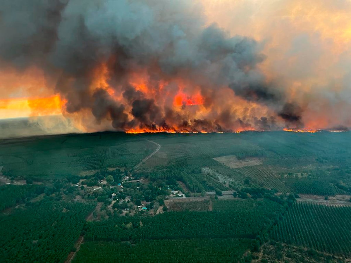 Orman yangınları güneybatı Fransa'yı yırtarken binlerce kişi tahliye edildi